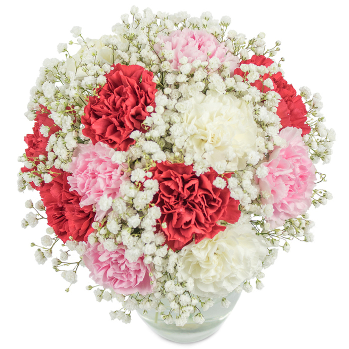 Presented against a spotless white background, this exuberant arrangement from a Nine Elms florist captures the essence of both tradition and local charm. The bouquet features abundant carnations, their deeply ruffled petals unfurling in layers of crimson, gentle blush, and opalescent white. Interspersed throughout are innumerable tiny blooms of baby's breath, which cascade and weave like delicate lace, transforming the arrangement into a soft, volumetric sphere evocative of clouds drifting above New Covent Garden Market. The expertly balanced colours-reds, pinks, and whites-create a sense of harmonious luxury, while the rounded, compact shape imparts fullness and sophistication. Stems gather in a modern clear glass vase, its transparency offering a glimpse of the green understructure and the life-giving water within. Shot with crisp, bright lighting from a slightly overhead vantage, every subtle tone and nuance is illuminated, emphasizing the bouquet's freshness and inviting presence. Whether chosen to honour a beloved parent on Mother's Day, mark a cherished anniversary, or send heartfelt thanks to neighbours in Nine Elms or nearby Vauxhall, this floral design stands as a timeless symbol of joy, affection, and refinement-each detail reflecting the expertise and care of local artisan florists.