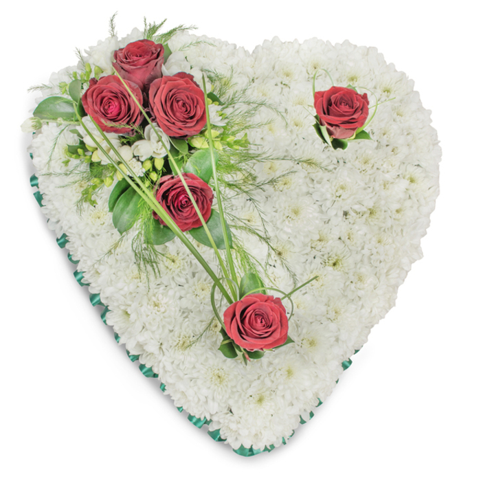 An elegant heart-shaped funeral tribute sits crisply against a white backdrop, its surface entirely covered with a tight, textural carpet of tiny white chrysanthemum blooms. Each flower is aligned to give a plush, seamless appearance-soft to the eye and symbolic of peace. A diagonal flourish of deep crimson roses rises from the upper left, where a cluster of three roses sits composed and open, surrounded by layers of deep-green foliage: broad glossy leaves, delicate fern-like sprigs and fine, curving blades of bear grass that add movement and a graceful counterpoint to the cushion of white. Two solitary red roses are placed to the right and at the lower point, each set apart to invite a private pause, each supported by a few small greens that frame the blossom. The whole heart is edged with a slim, emerald-green satin ribbon that provides a neat, sombre border and complements the greenery. Overhead lighting creates soft highlights on the red petals and subtle shadows in the chrysanthemum recesses, accentuating the three-dimensional quality and showing the florist's careful placement. This traditional memorial wreath-calm, dignified and gentle-feels like something prepared for services in Nine Elms, to be laid near the river at a ceremony close to Vauxhall or delivered to a local chapel. The scent profile would be predominantly rose-scented with faint green top notes, a quiet olfactory echo to the visual expression of enduring love and respectful farewell.