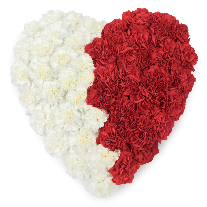 A meticulously arranged heart of carnations fills the frame in this overhead composition, the left side a calm field of creamy white blooms and the right side an intense display of crimson carnations. The flowers are arranged so tightly their ruffled petals interlock, forming a richly textured surface whose tiny ridges and folds catch the studio light and give the heart a sculptural, three-dimensional feel. Down the centre runs a distinctive vertical division - a slightly serrated, saw-tooth line with a series of pronounced triangular points where the red meets the white - an exacting design choice that immediately evokes national heraldry. Viewed from above against a stark white background, the pattern recalls the white-and-deep-red motif of Qatar's flag, lending the piece a ceremonial, patriotic resonance suitable for national day observances, embassy events, or memorial remembrances connected to Qatari identity. As a local florist familiar with deliveries around Nine Elms, Vauxhall and the embassies that line the wider area, I note the craftsmanship: consistent carnation sizing, tightly wired stems for durability, and a balanced silhouette that reads clearly from a distance. The scent is gentle and spicy, the colour contrast sharp yet harmonious - a floral emblem that combines love, loyalty and respect into a single, unmistakable heart.