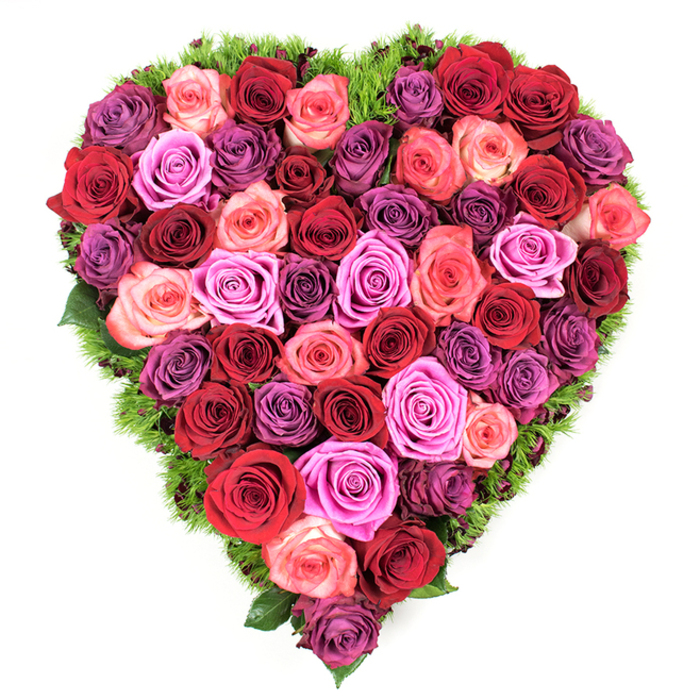 Viewed from above, this heart-shaped arrangement is a sumptuous field of roses, each bloom positioned tightly so the heart reads as a continuous, textured carpet of petals. The colour palette is deliberately layered: dominant tones of deep crimson and scarlet sit beside softer blush and coral pinks, while accents of fuchsia and a gentle sweep of lavender-to-plum create visual movement and a sense of depth. Every rose is at its peak, petals soft and velvety with tenderly curled edges and tightly furled centres that suggest freshness and careful selection. A narrow edging of fine, dark green foliage - reminiscent of maidenhair fern or soft moss - traces the heart's perimeter, offering contrast and a hint of woodland coolness that frames the vibrant blooms. Lighting is gentle and diffuse, highlighting the tactile quality of the roses and giving the composition an intimate, meditative mood appropriate for both celebration and consolation. Craftsmanship is evident in the seamless fill from edge to centre, the thoughtful interplay of hues, and the way the piece occupies a clean white backdrop without distraction. This floral heart would be equally at home on a mantel in a Nine Elms riverside flat, beside a sympathy book at a small chapel near Battersea Park, or as a central piece at an anniversary dinner; it conveys ardour, respect and solace in equal measure. The overall effect is a quiet, eloquent expression of devotion that reads visually as both luxuriant and deeply personal.