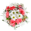 This cheerful hand-tied arrangement, artfully assembled by a local Nine Elms florist, echoes the spirit of community and renewal that fills the area's riverside promenades. At its heart, luminous white daisies fan out from vibrant, lime-colored centers, gently nestled among clouds of plush coral-pink carnations whose ruffled textures evoke a sense of movement and warmth. Wispy sprigs of baby's breath add airiness, floating like tiny stars above the arrangement and creating a dreamy, uplifting lightness. Delicate, just-emerging buds, tinged with purples and deep pinks, peek from the lush greenery-an invitation to imagine tomorrow's bloom. The bouquet's varied foliage, featuring silvery eucalyptus and darker green accents, forms a graceful backdrop, reminiscent of the leafy colonnades scattered through Nine Elms. The expertly balanced, circular composition imparts a tranquil yet exuberant mood, ideal for birthdays, anniversaries, or simply sending sunshine to a friend along Nine Elms Lane or the new developments beside the Thames. The fresh palette, gentle fragrance, and romantic styling capture a local florist's devotion to creating meaningful, heartfelt gifts for delivery across the neighborhood, making each bouquet a true gesture of comfort and celebration.