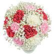 Imagine strolling through Nine Elms on a gentle spring morning, the air filled with promise and light-a feeling beautifully captured in this densely layered bouquet of carnations and baby's breath. The arrangement, nestled within a perfectly clear, rounded vase, features plush blooms of deep red, soft blush pink, and creamy white, each carnation's ruffled edges inviting you to reach out and trace their intricate form. Wisps of pure white Gypsophila drift throughout the design, evoking a sense of airy tranquility and soft movement, much like the subtle breeze that dances along Nine Elms' riverside pathways. Photographed from an elevated angle against an immaculate white backdrop, the bouquet glows under bright, even light, highlighting the pure vibrancy and carefully curated harmony of every stem. It's an arrangement that exudes both warmth and serene joy, making it an ideal offering for heartfelt milestones-from birthdays celebrated along Ponton Road to expressions of appreciation delivered to friends in the local community. Each element celebrates the artistry and empathy found in a dedicated Nine Elms florist, embodying a bouquet meant to uplift, comfort, and create lasting memories.