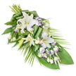 An elegant funeral spray of white oriental lilies and lisianthus is arranged in a flowing, diagonal composition on a bright white background, as if ready to be placed beside a coffin or framed photograph at a Nine Elms remembrance service. At the fuller, upper section, several lily stems rise gracefully, bearing open blooms and closed buds in various stages of life. The open lilies display wide, trumpet-like petals of pristine white, gently curling back to reveal pale green centres and soft, dusted stamens, while the buds remain smooth and tapered, like quiet promises of beauty yet to come. Around and between these stately flowers, white lisianthus blossoms are scattered in generous clusters, their softer, ruffled petals tinged at the tips with delicate lavender and understated purple lines. These details bring a subtle whisper of colour, reminiscent of evening light settling over the developments near Nine Elms Lane. Numerous small buds and partially opened lisianthus blooms contribute texture and nuance, creating an impression of natural, unforced growth. The base of the spray is formed from deep, glossy green leaves, layered to build a sense of depth and stability, with some leaves expertly folded and rolled into structured, almost sculptural accents that reveal the florist's careful craftsmanship. From one side, long, slender palm-like fronds arc outward and down, extending the shape into a graceful taper that leads the eye to a fine point at the end. The overall mood is one of calm, reverent beauty, perfectly suited to funerals, graveside tributes, or memorial gatherings within the local Nine Elms community, offering silent support and a message of peace, remembrance, and enduring love.
