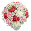 Overflowing with the spirit of Nine Elms' close-knit community, this beautifully composed bouquet draws the eye with its lush medley of red, white, and blush pink carnations, all intensely packed to create a dome of plush texture and vibrant colour. Each carnation's ruffled petals, soft to the touch, seem to echo the welcome embrace of a festive family gathering. Wispy sprigs of Baby's Breath weave through the display, wrapping the main blooms in a delicate halo-a gentle mist that softens the strong carnations and adds a breath of freshness reminiscent of early spring in a riverside park. The arrangement's carefully balanced tri-colour scheme glows under soft daylight, enhancing both its visual and emotional warmth. Set inside a sturdy, rounded glass vase, just visible at the base, the entire presentation is grounded and elegantly simple, perfect for informal celebrations or heartfelt messages of thanks among neighbours throughout Nine Elms. The bouquet's freshness and lively spirit conjure images of local flower stalls by the New Covent Garden Market or sun-dappled afternoons enjoyed with friends along the Thames. This arrangement is more than a gift-it's a personal gesture, crafted by a Nine Elms florist who understands both the art of floristry and the joy of shared occasions.